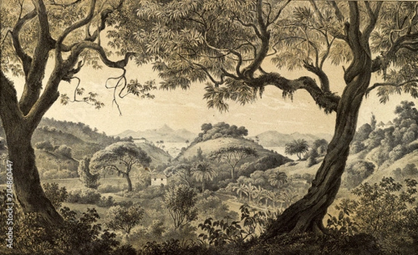 Obraz Nature of South America.