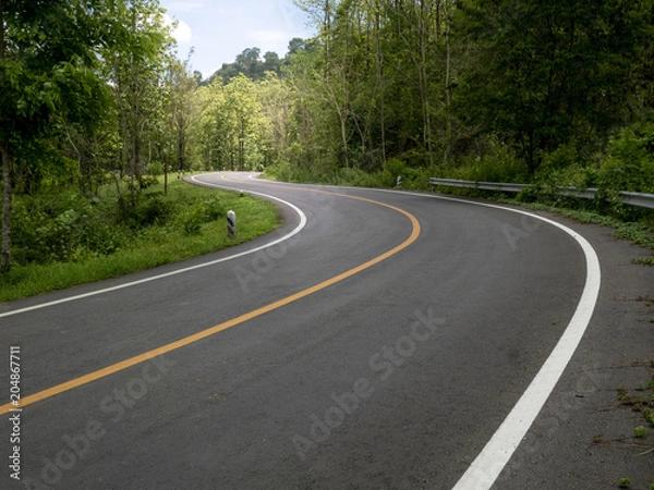 Obraz "S" Curve road