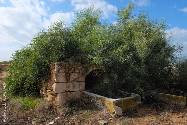 Obraz Well of Reuven the son of the Jewish patriarch Jacob at Palmachim Beach, Israel
