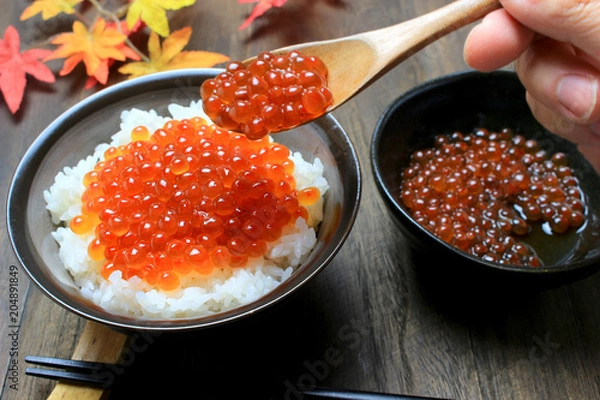 Fototapeta イクラ丼