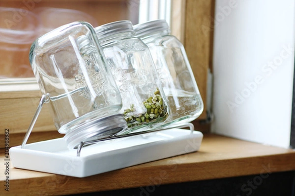 Obraz Sprossen im Glas