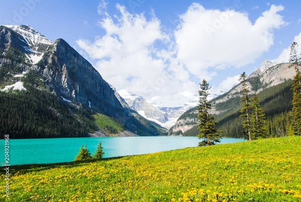 Fototapeta 春のカナディアン・ロッキー　バンフ国立公園　レイク・ルイーズ（カナダ）
