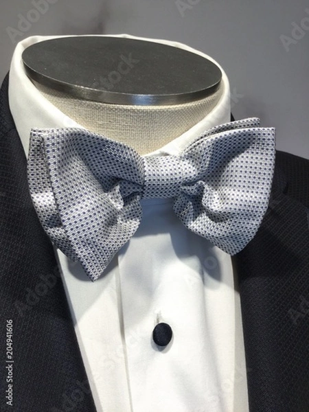 Obraz PAPILLON WEDDING