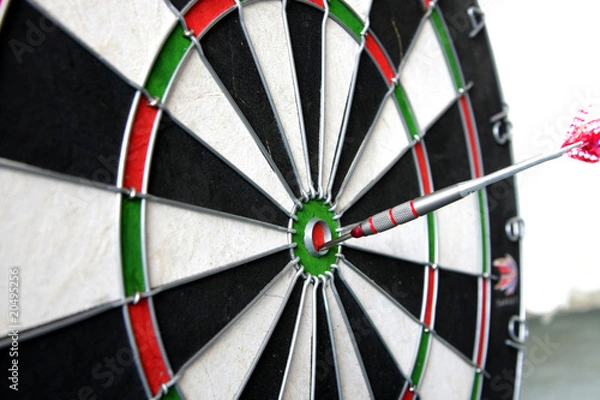 Obraz Dart 1