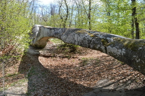 Obraz principio d'estate