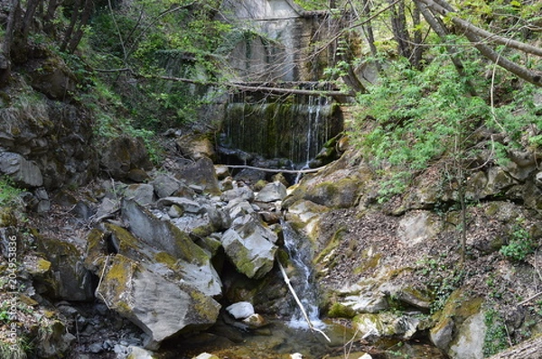 Obraz principio d'estate