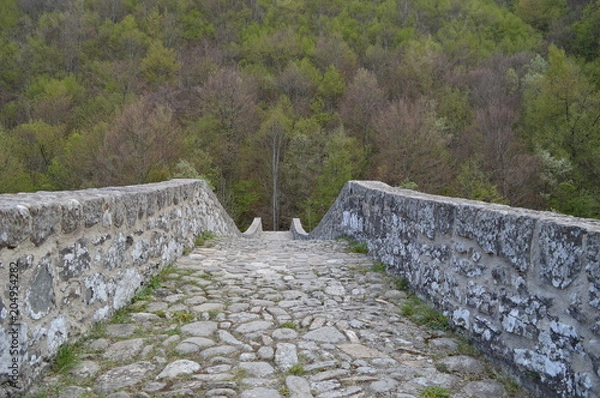 Obraz principio d'estate