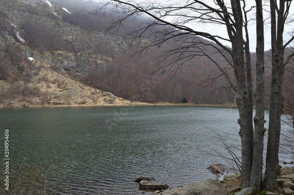 Obraz principio d'estate