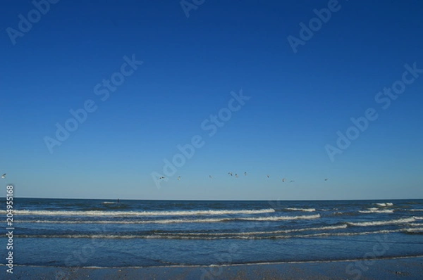 Obraz principio d'estate