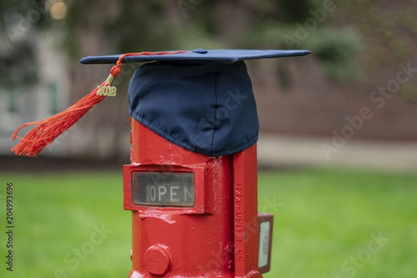 Obraz Graduation cap on a red pipe