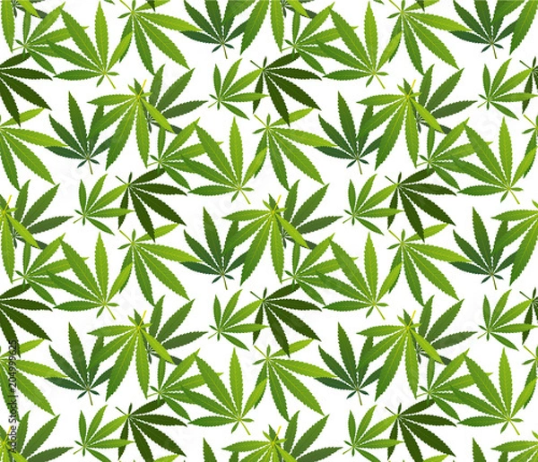 Fototapeta Marijuana leaves seamless vector pattern.