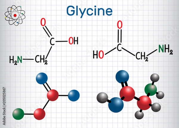 Fototapeta Glycine (Gly or G), is the amino acid.  Structural chemical formula and molecule model. Sheet of paper in a cage