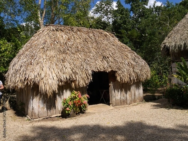 Fototapeta Thatched-roofed hut in a village in Costa Maya, Mexico 
