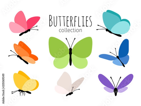 Obraz Kolorowe wiosenne motyle