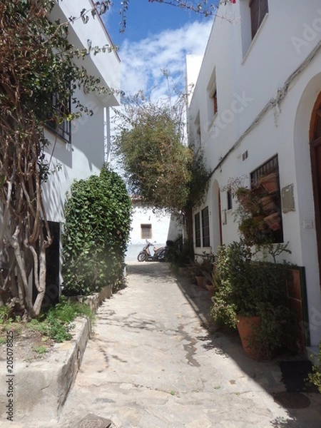 Obraz Salobreňa street