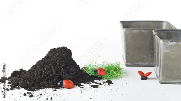 Obraz Spring time announcement