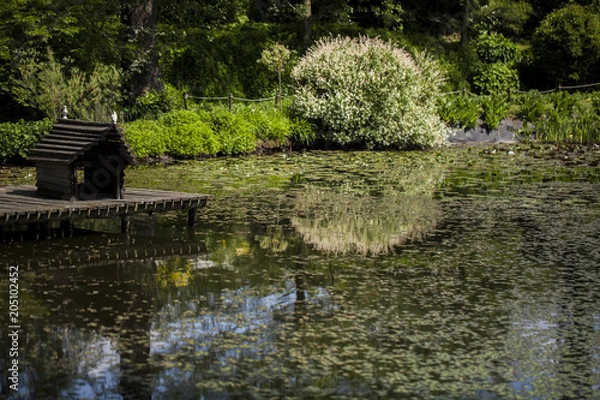 Obraz Aranżacja ogrodu 