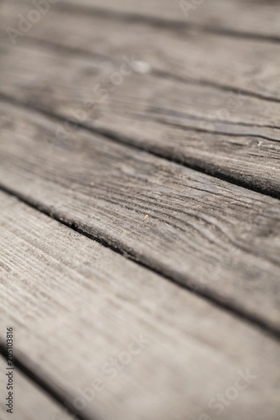 Obraz Aranżacja ogrodu 