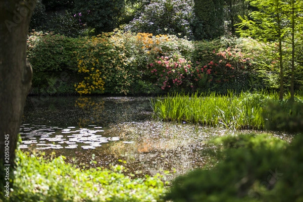 Obraz Aranżacja ogrodu 