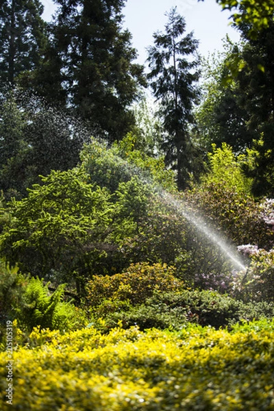 Obraz Aranżacja ogrodu 