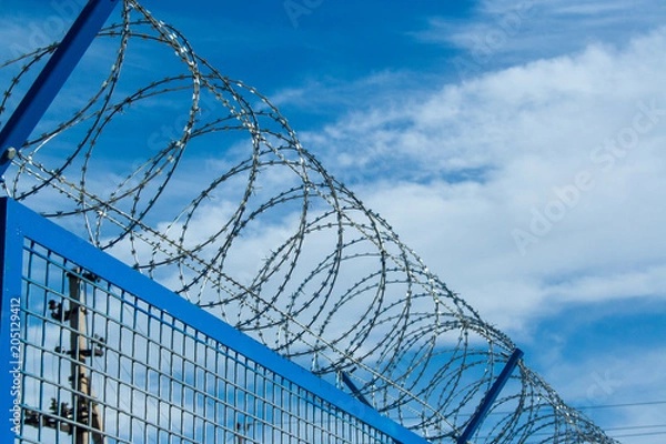 Fototapeta Barbed wires