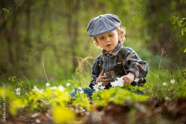 Obraz Small boy playing in spring forest
