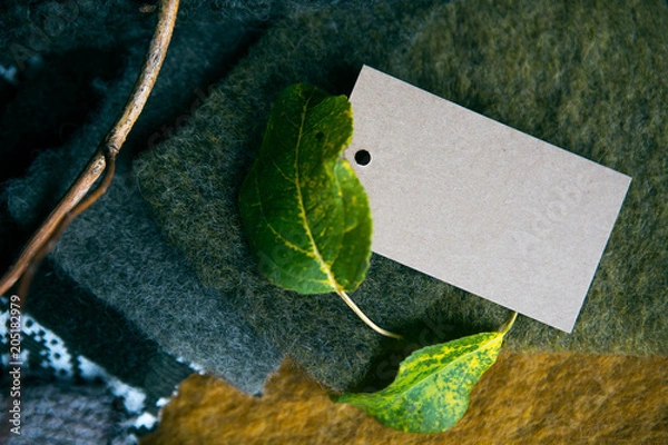 Fototapeta  A tissue and a cardboard card for placing the text