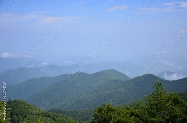 Obraz Utsugushigahara