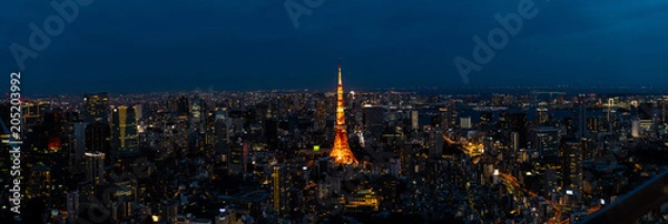 Obraz Tokyo Cityscape at night from Roppongi Hills