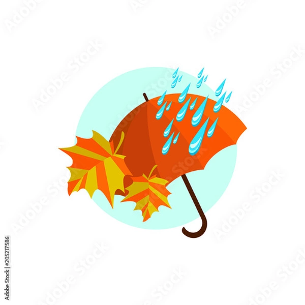 Obraz umbrella cane in the rain