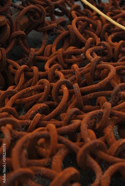 Fototapeta Rusty Loops