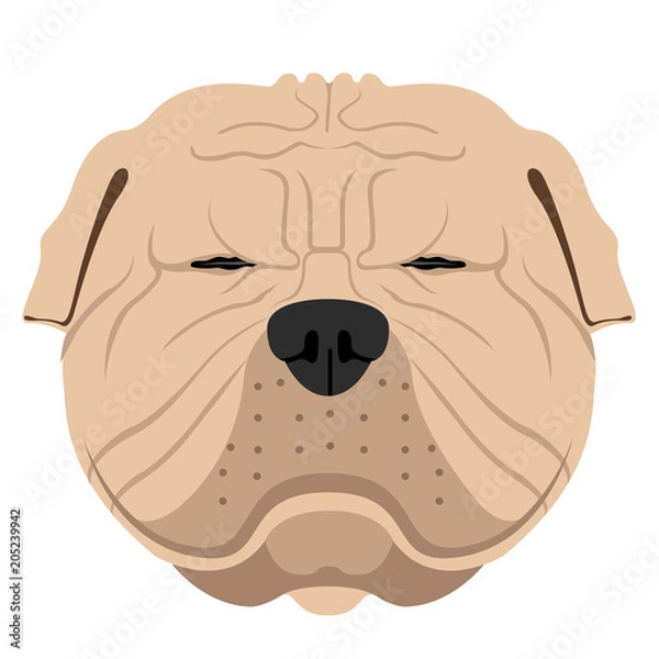 Obraz Shar pei avatar