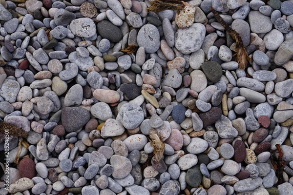 Obraz Steine-Strand_R