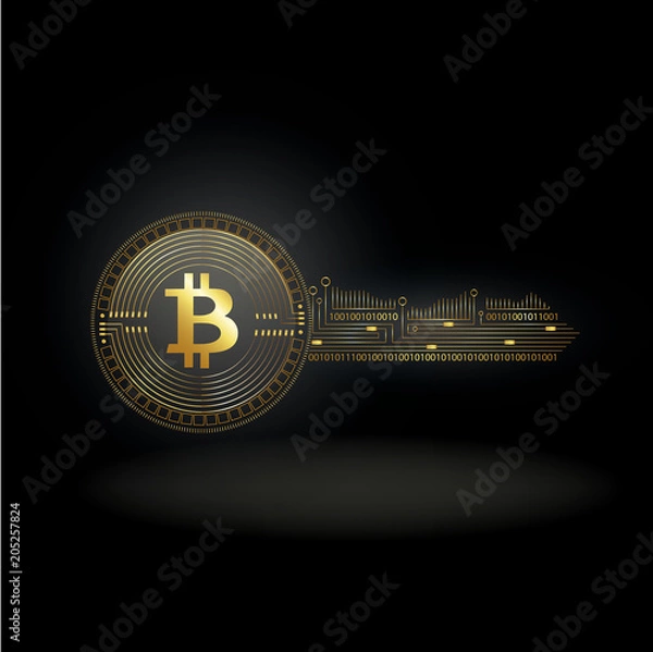 Obraz Bitcoin Cryptocurrency Coin Private Key Background