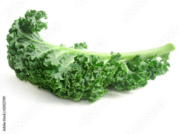 Obraz curly kale leaves
