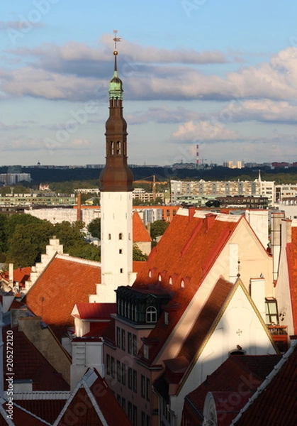 Obraz Tallinn, Estonia