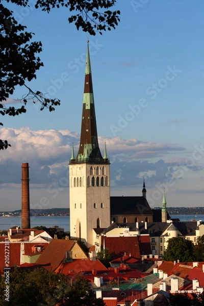 Obraz Tallinn, Estonia