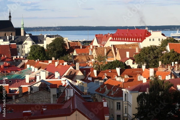 Obraz Tallinn, Estonia