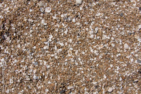 Obraz texture of sea sand and seashells background