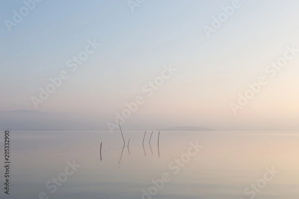 Fototapeta A very minimalistic view of a lake at dawn, with soft light, war