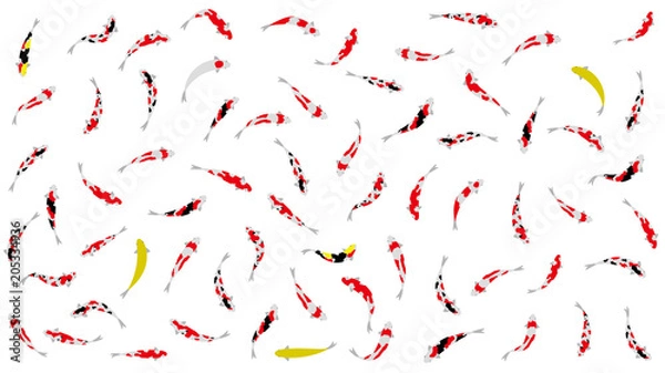 Obraz 鯉のダンスパーティ