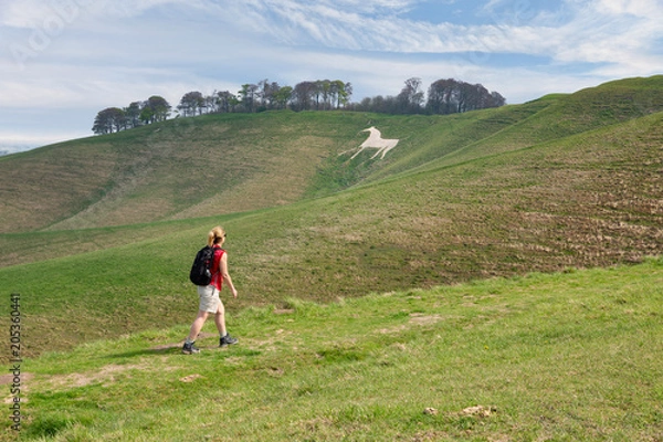 Obraz Walking Cherhill White Horse