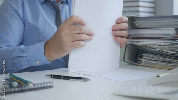 Obraz Businessman Image Sorting Accounting Documents