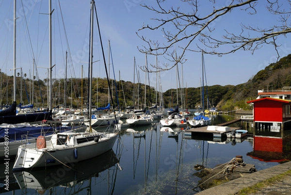 Fototapeta 春の海