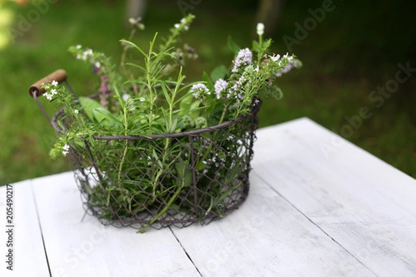 Obraz Gesunde Kräuterecke