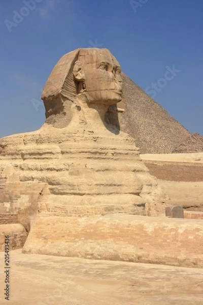 Fototapeta 真夏のスフィンクス