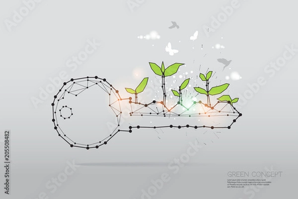 Fototapeta The particles, geometric art, line and dot of nature growth.