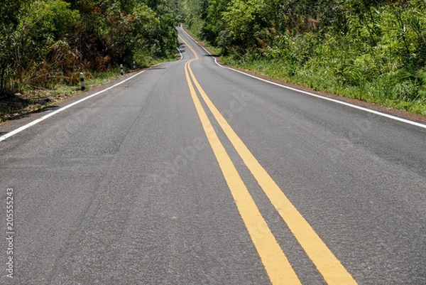 Fototapeta Beautiful asphalt road with vanishing point and double yellow line with no car and nobody 