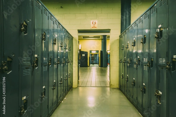 Fototapeta Long corridor full of lockers in a basement