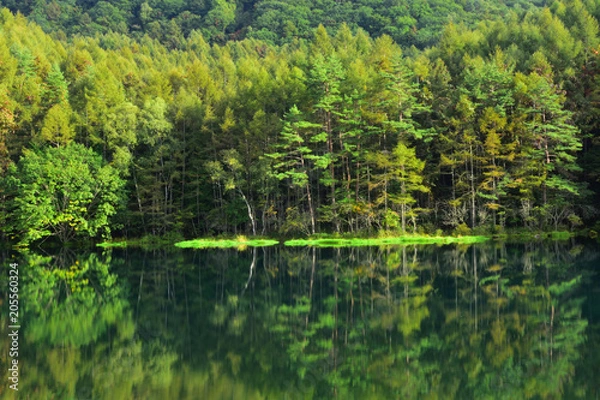 Fototapeta 御射鹿池